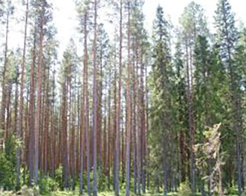 Monitoring Biodiversity in Scandinavia: Lessons for Australian forest management